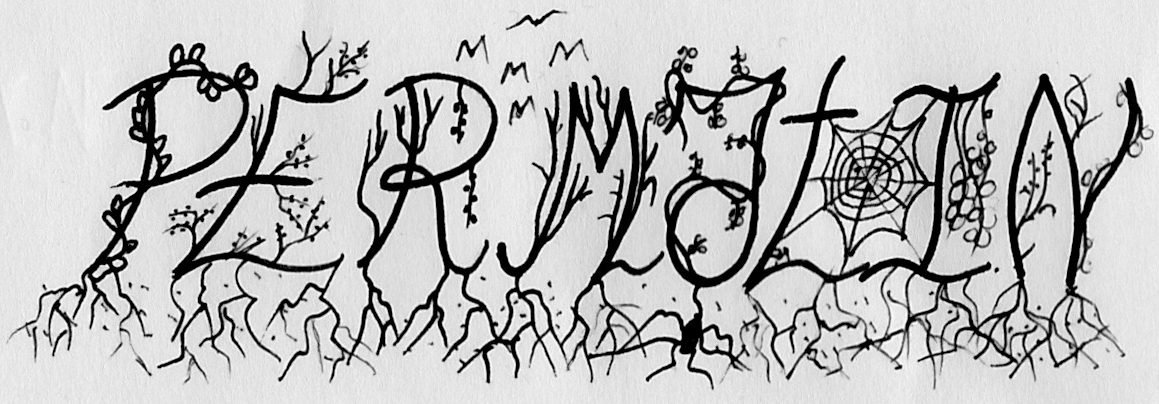 A blog about my journey in permaculture and life